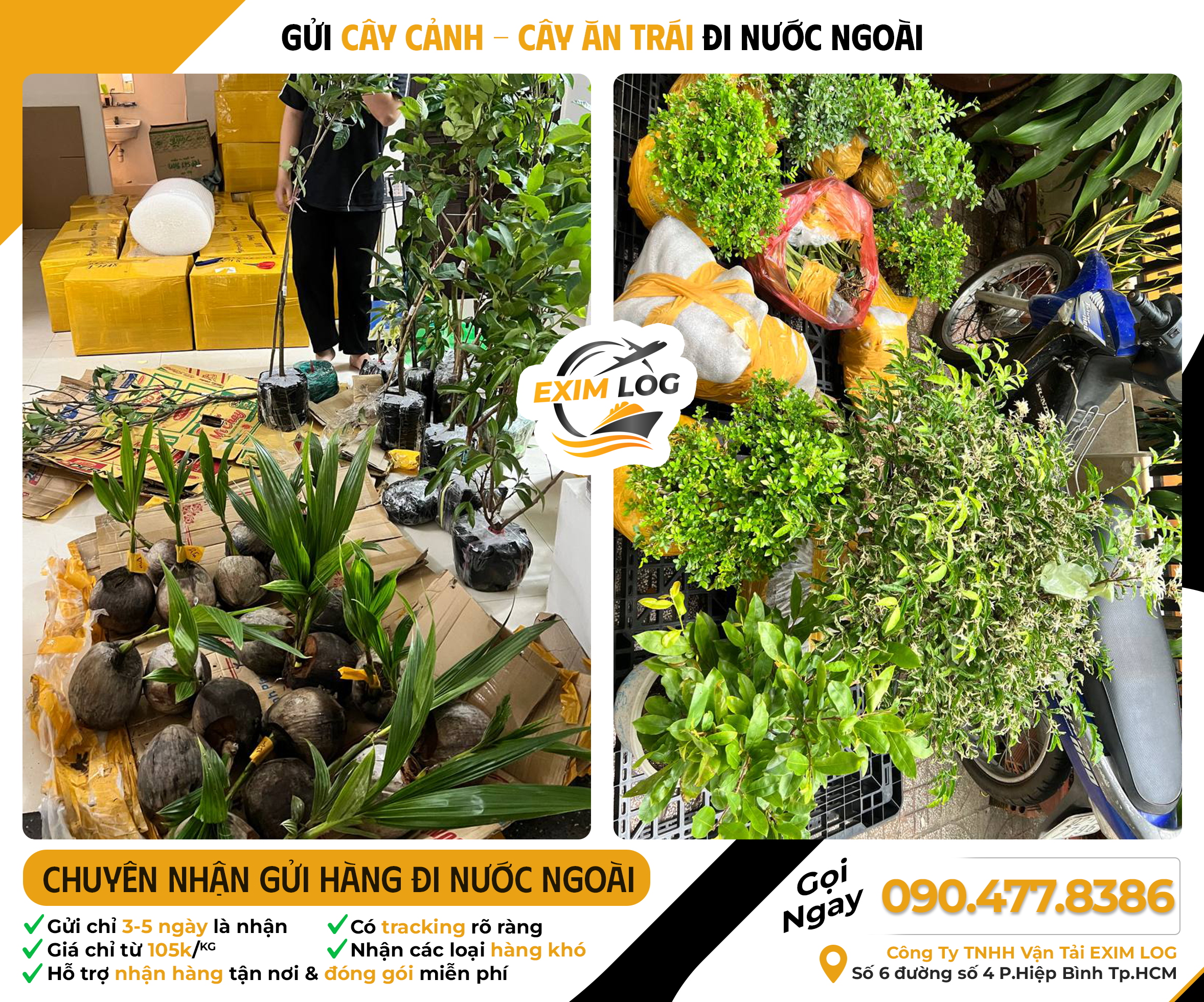 Giới thiệu Eximlog